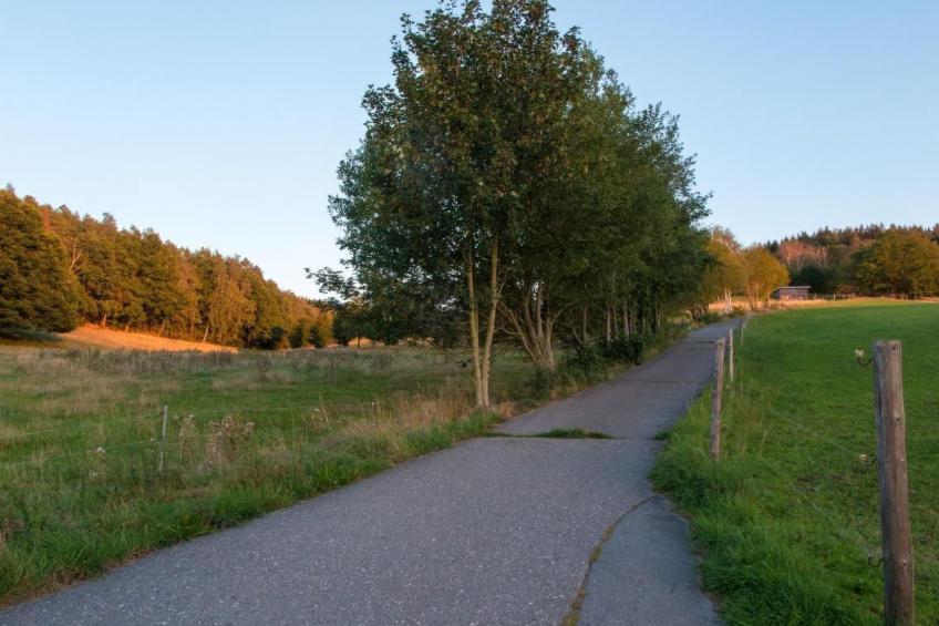 Wohnung in Burkhardtsdorf - foto 8