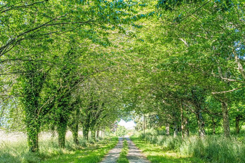 Gites de la Goujatte - foto 17