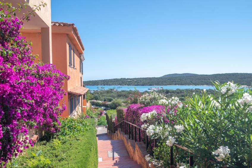 CSA - 15, Baia de Bahas - foto 39