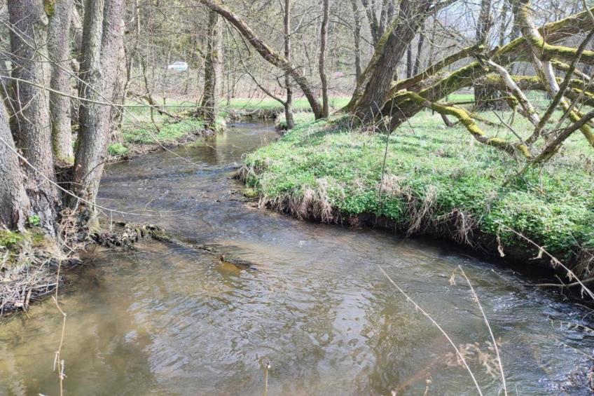 Vakantiepark de Tabaksschuur - foto 25