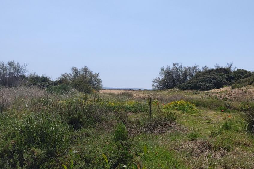 Casallende von Holiday World - foto 17