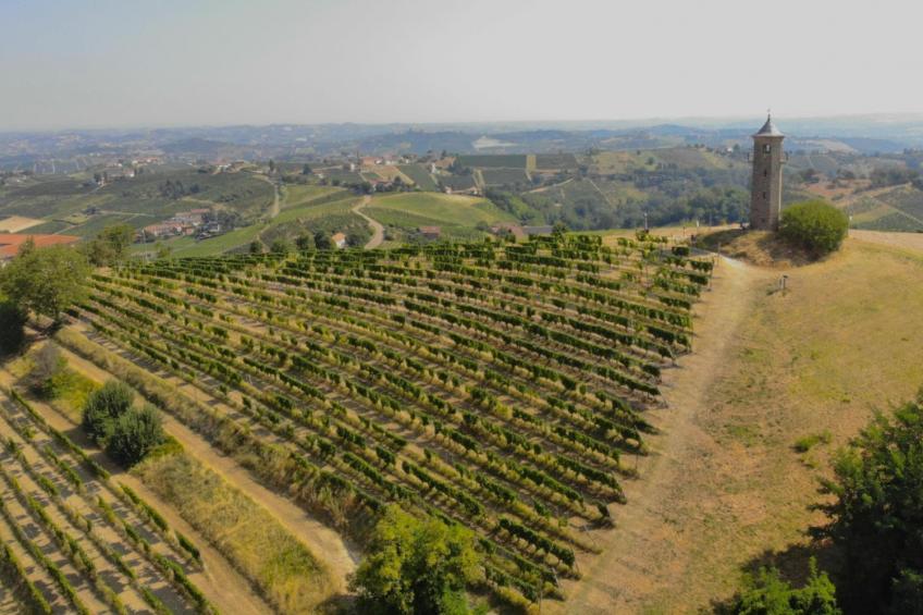 Residence Villa Linda Two-rooms Apartment (5 Pax) - foto 24