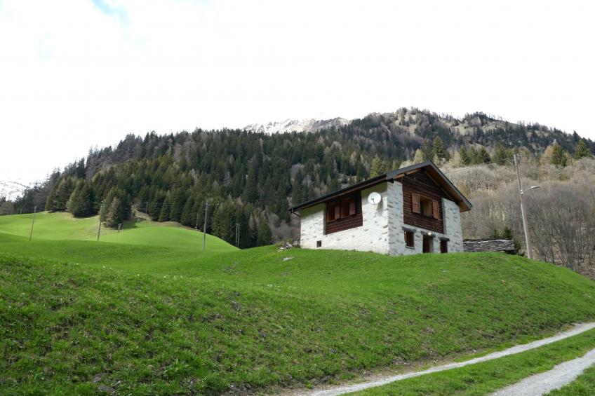 Rustico Carcarida - foto 22