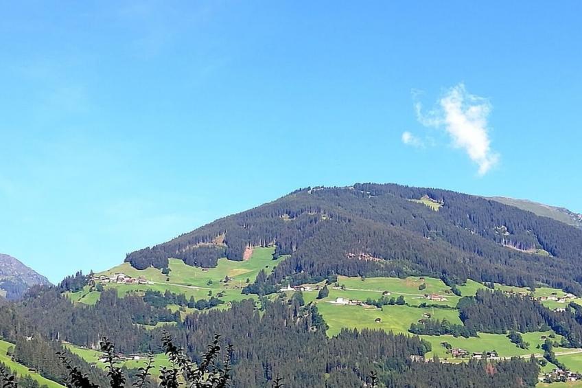 431896 - foto 21