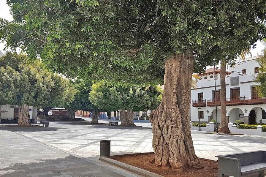 holiday home, Los Llanos de Aridane - foto 40