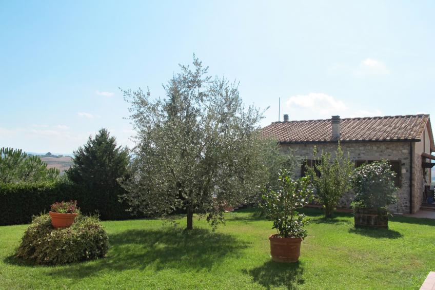 Azienda Agricola La Casanuova (LAI130) - foto 12