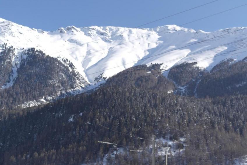 Ers Curtins - foto 21