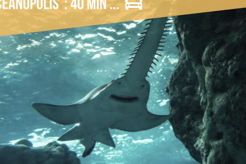 Das Dolmengebäude Clara - foto 57