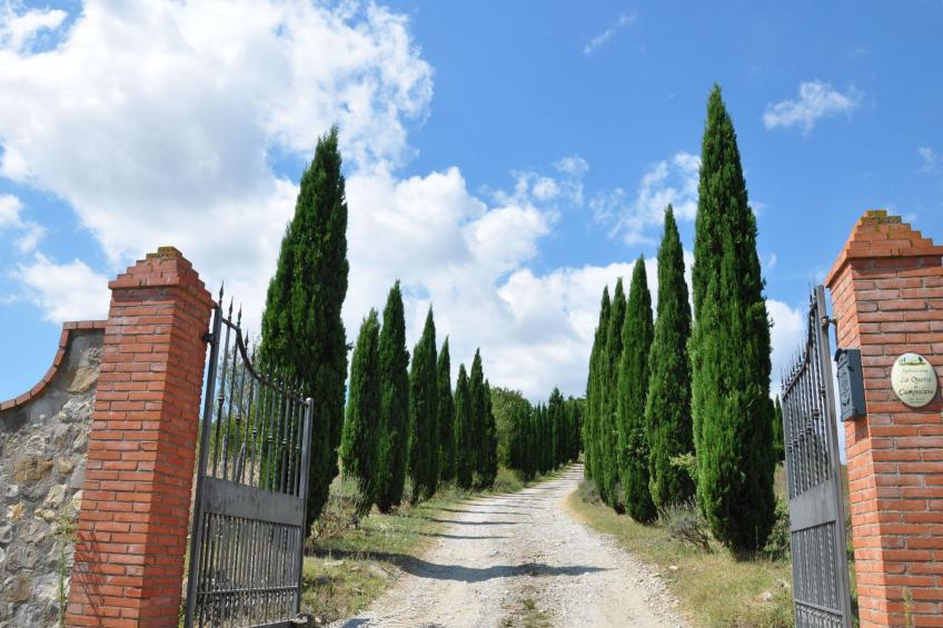 Wohnung "Bellavista Holidays" - foto 15