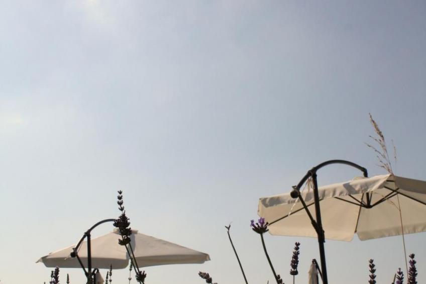 Anwesen mit Gemeinschaftspool - foto 7