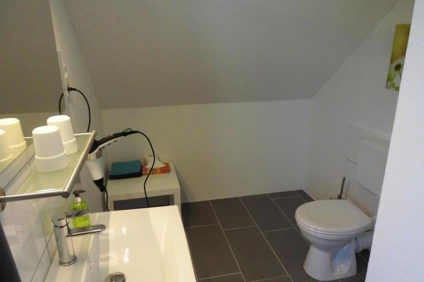 in Landschaftspolder mit Großem Garten - foto 11