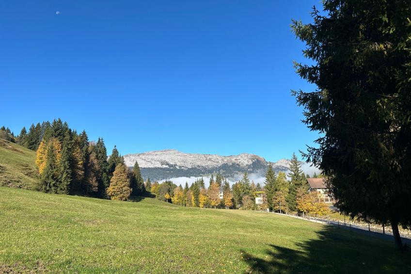 Wohnung Hirschi - foto 30