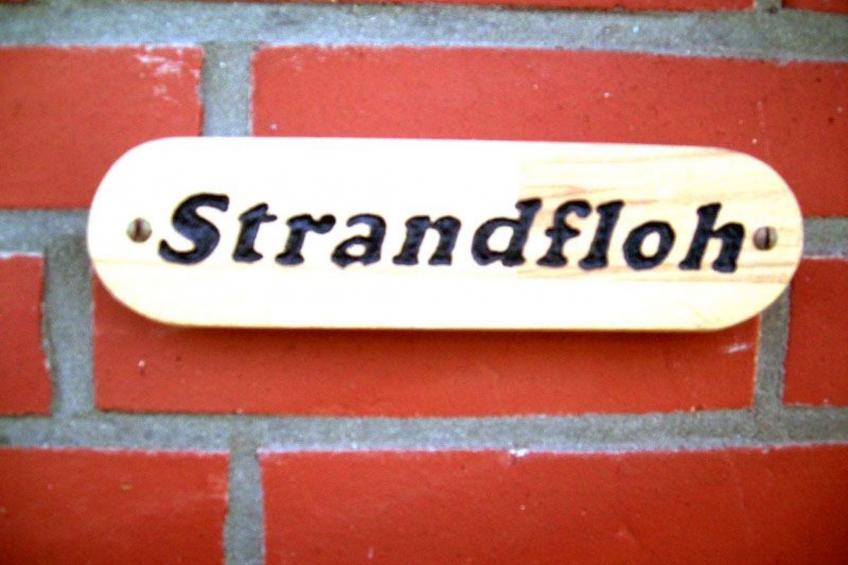 Strandfloh in Hörnum - foto 2