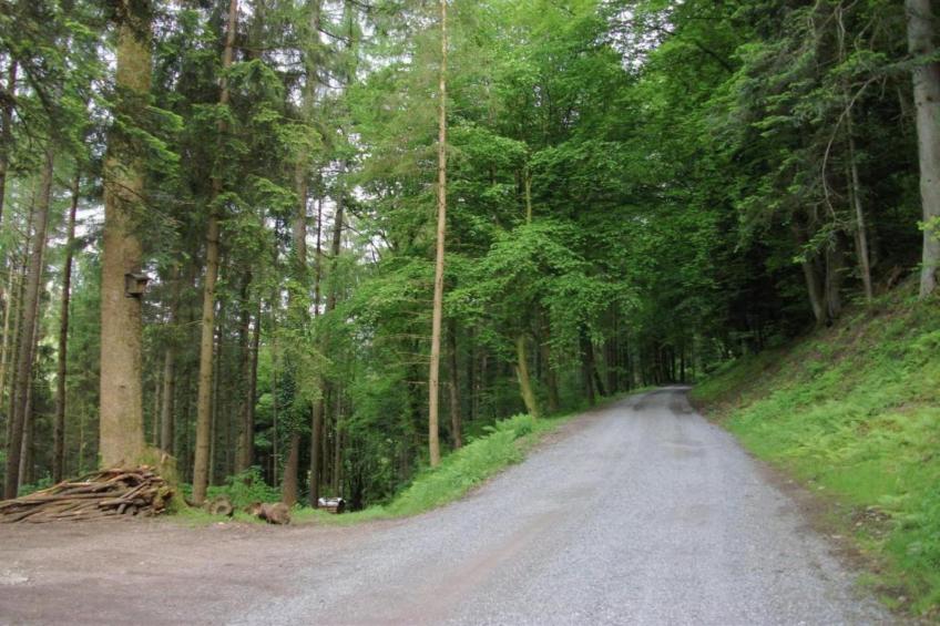 Panoramablick - foto 21