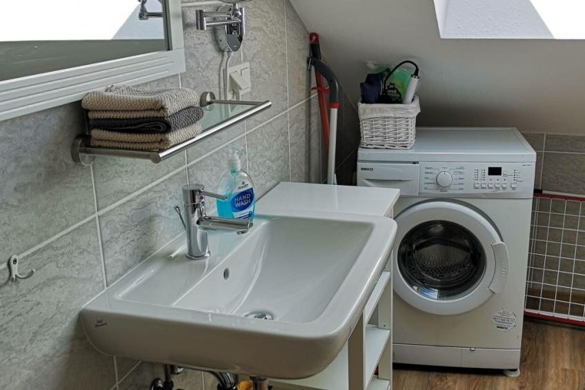 Haus Maria Hochschwarzwald, Garten umzäunt, Waldrand, Hunde willkommen - foto 19