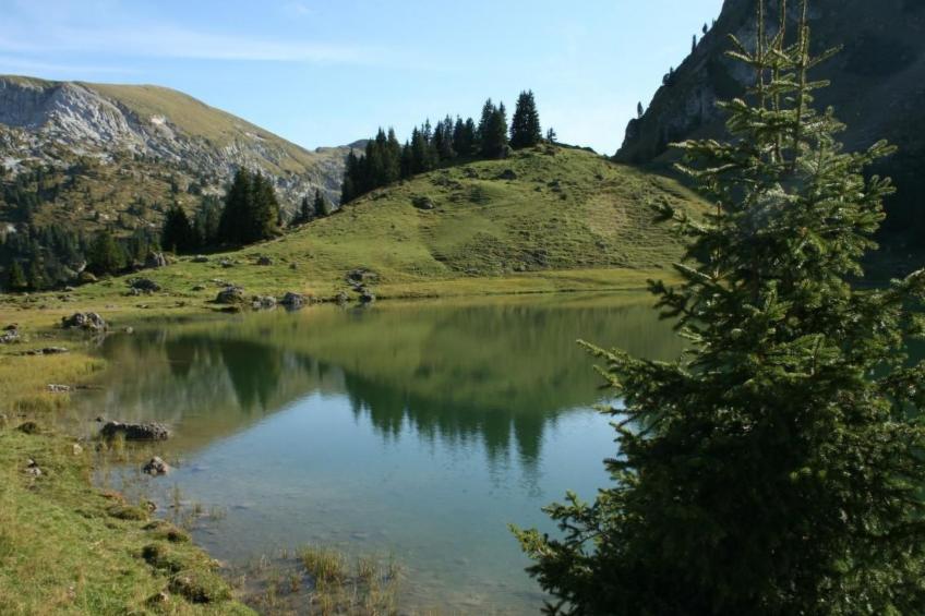 Fewo mit Herz - foto 31