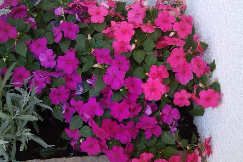 Traumhafte Villa Punta Skala mit 2 Terrassen - foto 48