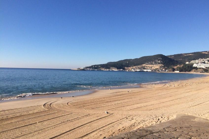 in Sesimbra mit Grill, Terrasse und Garten - foto 19