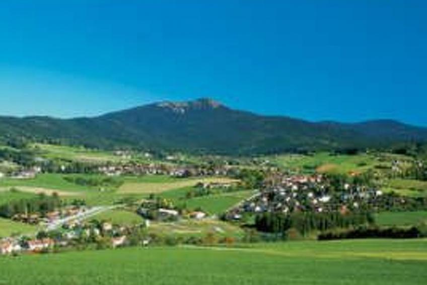 Appartement in Lam - foto 5