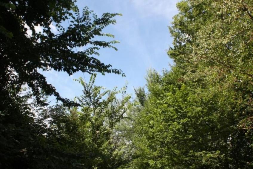 Unabhängige Wohnung, mitten im Grünen des Berges und des Sees, 80 km von Ost-Ro - foto 49