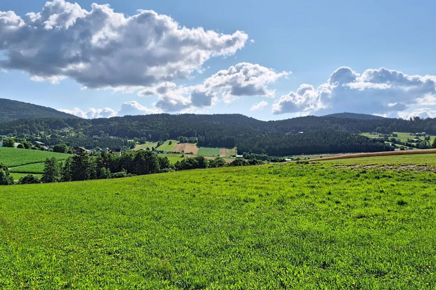 Böhmerwald Pur2 - foto 63