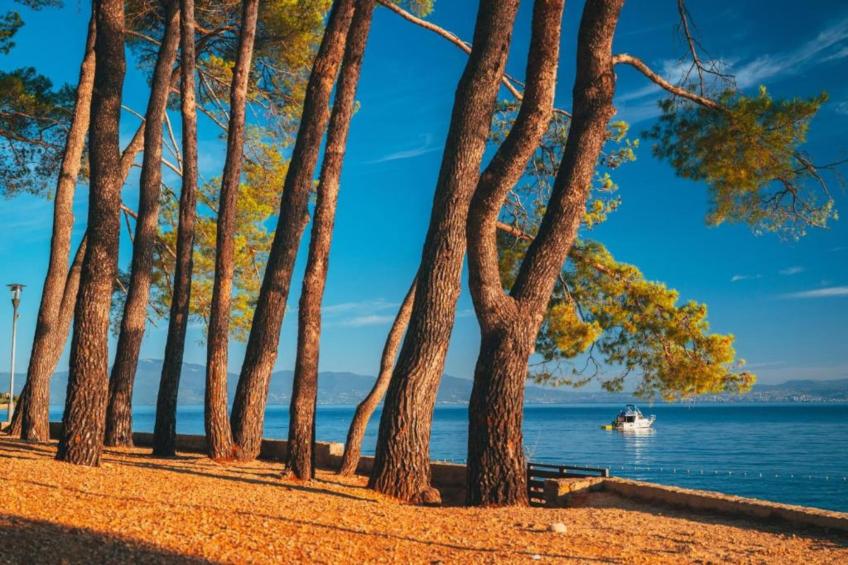 Apartment Grđan - foto 13