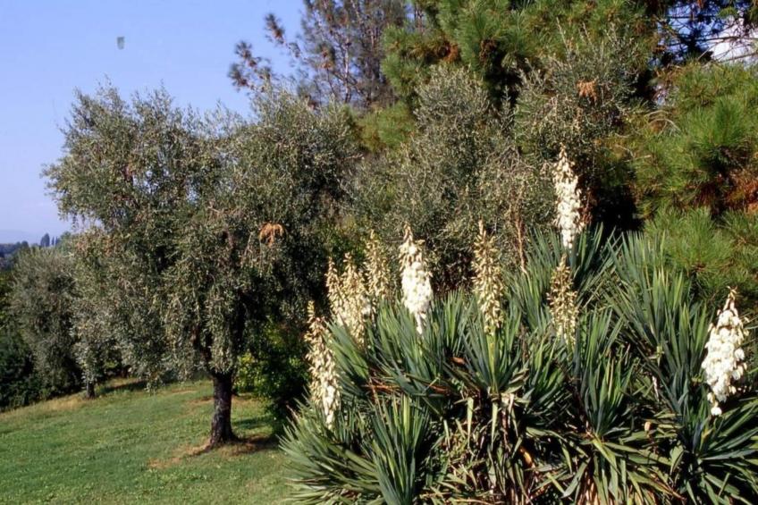 Casa Massimo - foto 31