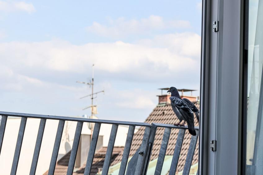 Munich Finest Apartments 17 - foto 5