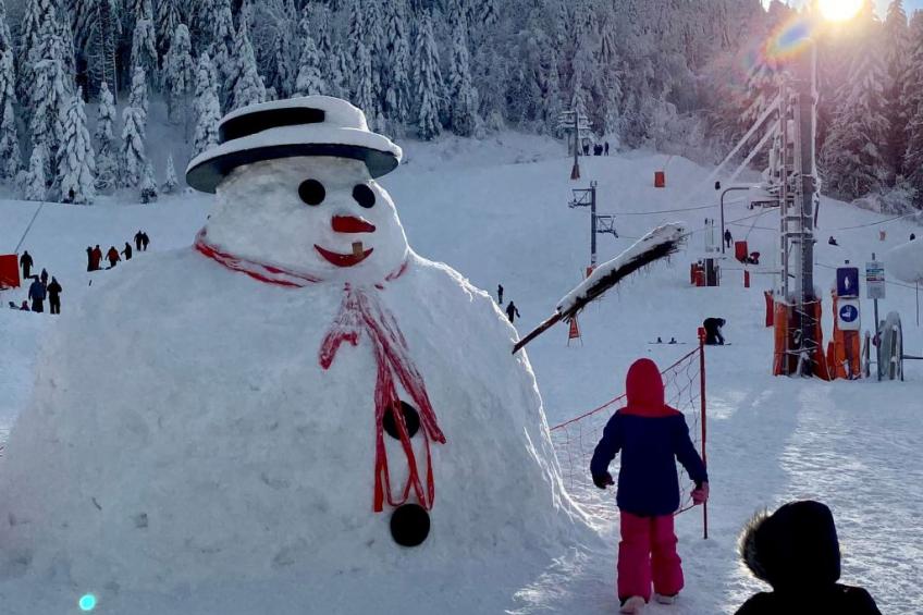 Chalet "Le Flocon Bleu" mit Blick auf das Wasser - foto 51