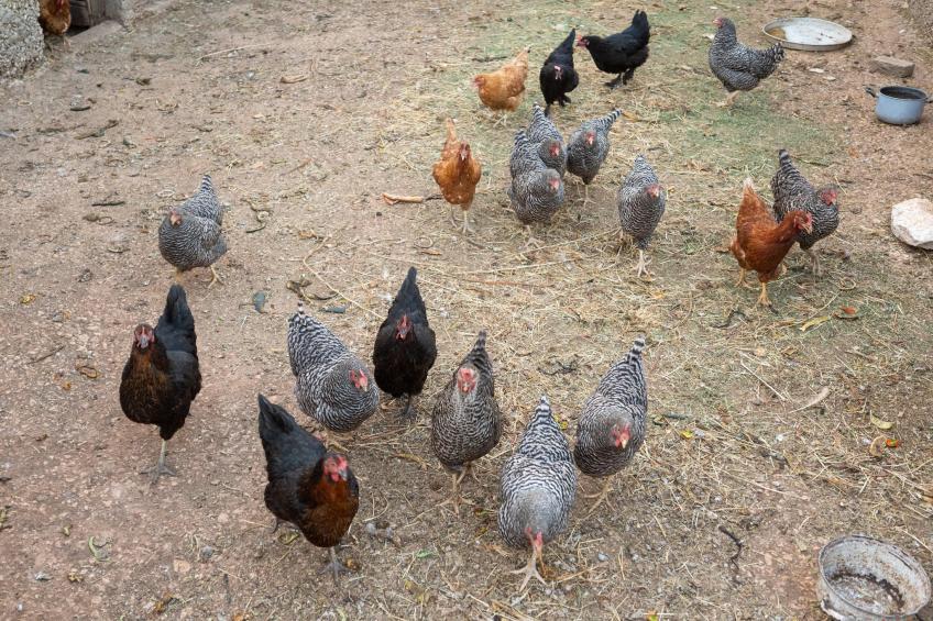 Villa Casa Natura - foto 44