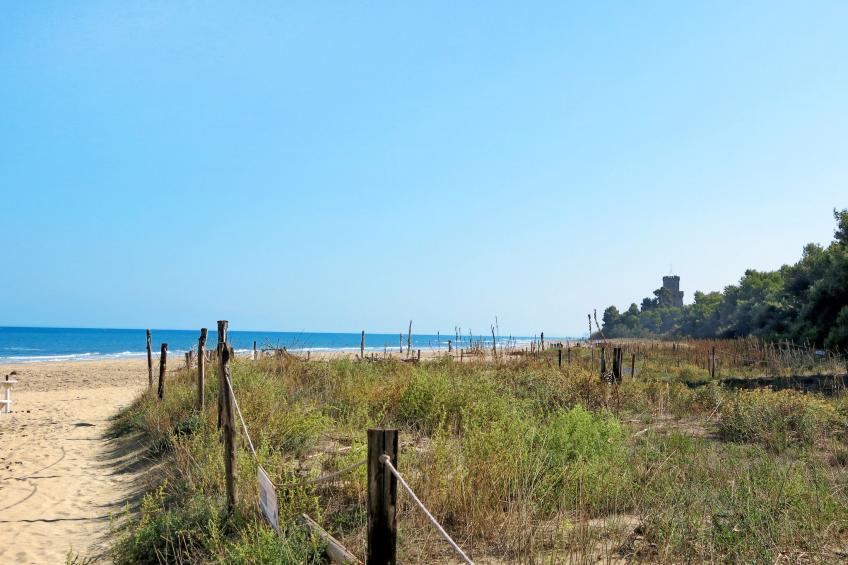 Casa Le Querce (PIT550) - foto 25