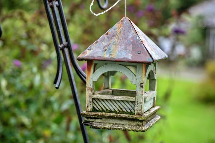 Skylarks - foto 20