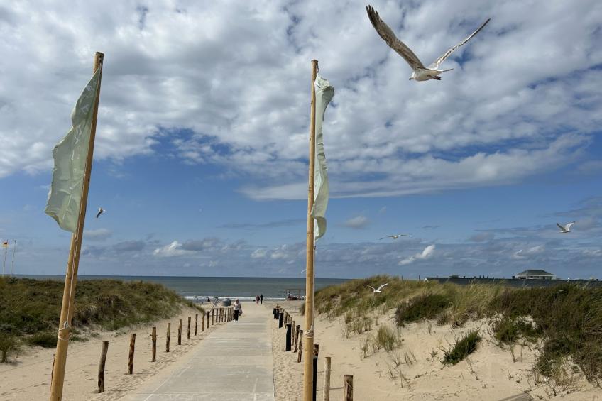 Buitenplaats Witte Raaf aan Zee - foto 2