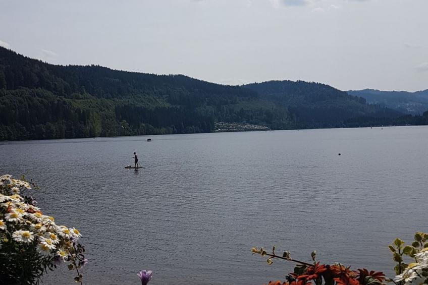 Kuschelnest Oase - foto 11