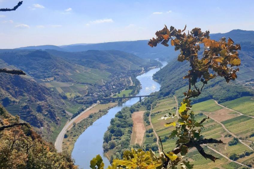 Landhaus Erika - foto 20