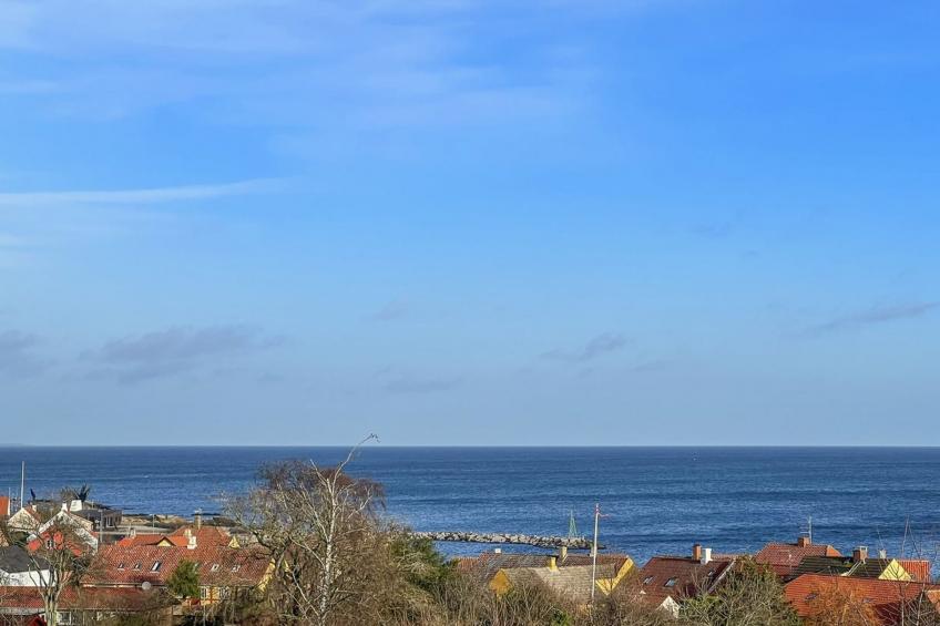 "Caranus" - 500m from the sea in Bornholm - foto 30