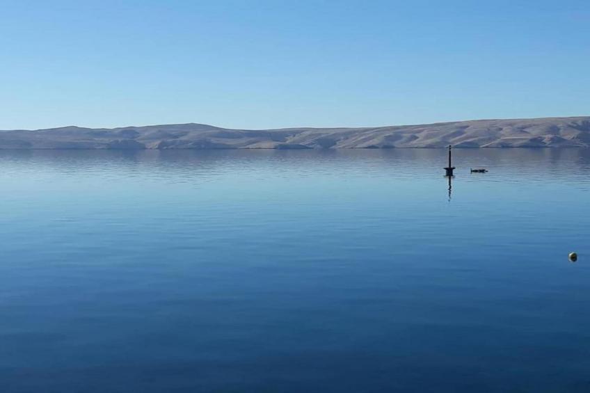 Apartments Sun-Mauro VII - foto 37