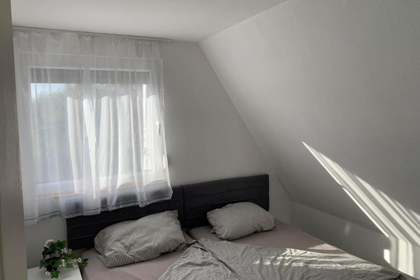 Majoshaza 20 min von Budapest direkt an der Donau - foto 7