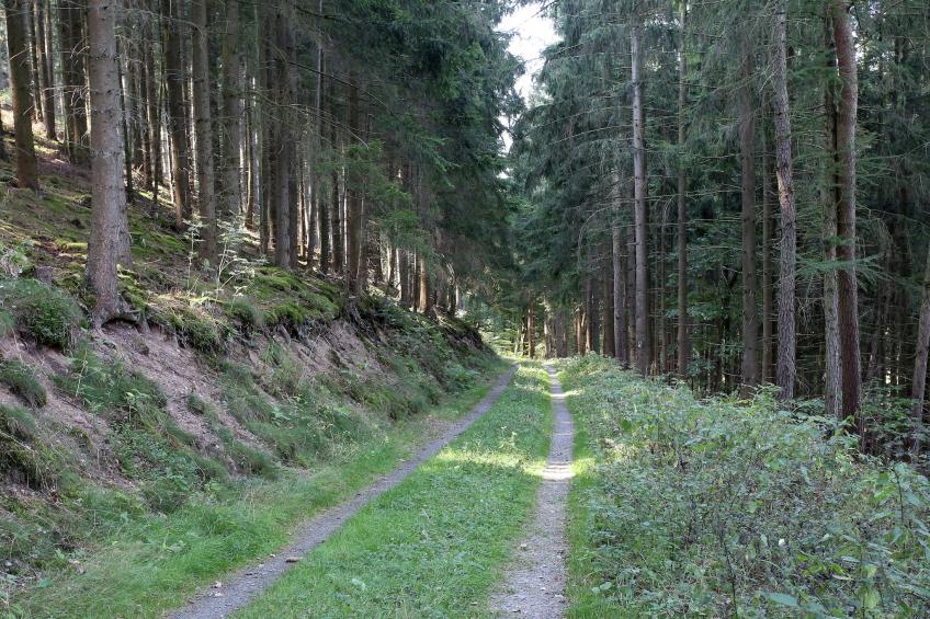 Grabenhaus - foto 40