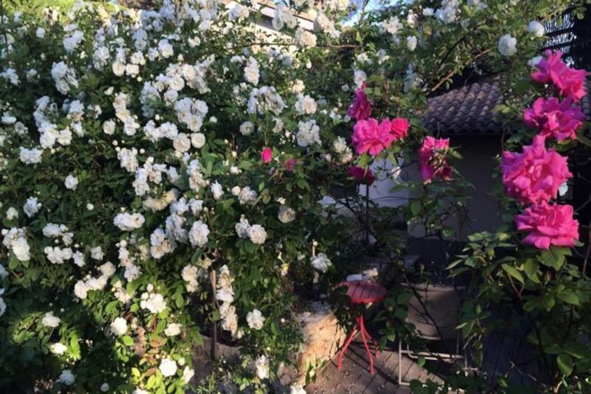 La Florentine - Maison Au Cœur De La Pinède Avec Piscine Sans Vis à Vis - foto 28