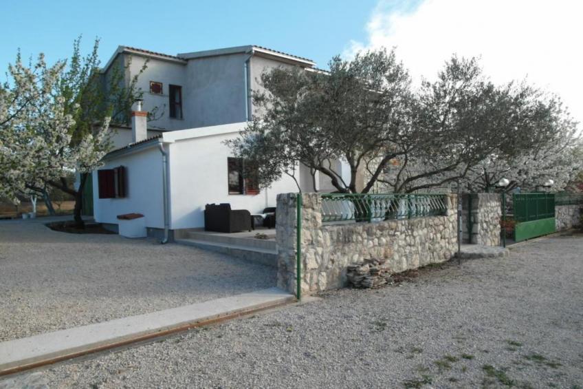 Apartment Antonio - One Bedroom apartment with Terrace - foto 14