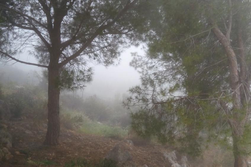 Der Garten von Zephyrus - Osten - foto 40