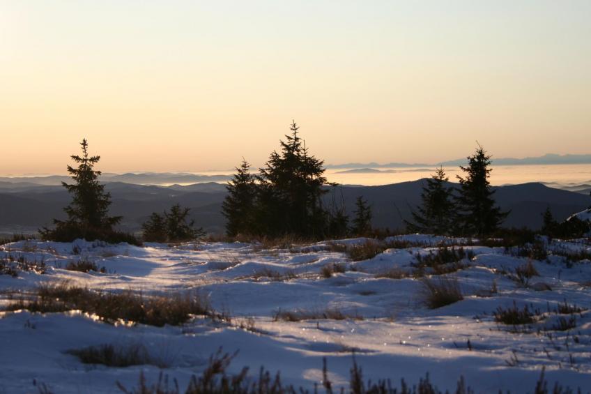 Wiesengrund in Bayerisch Eisenstein - foto 27