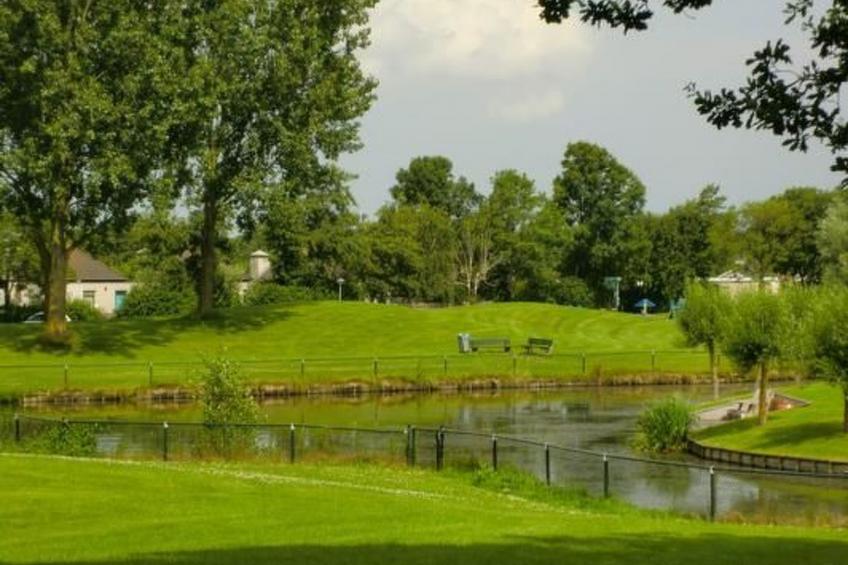 in Dirkshorn - foto 32