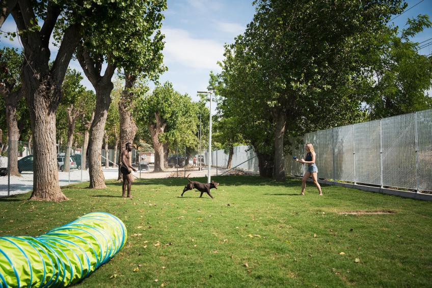 Rimini Family Resort - LODGE dog on request - foto 20