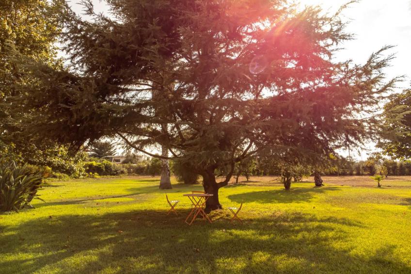 Elea resort preveza - foto 14