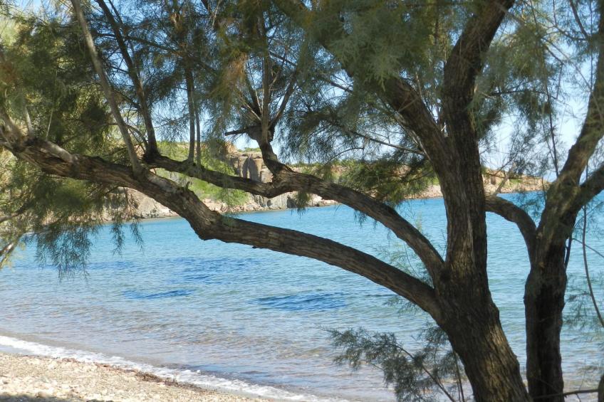 Andreas House - foto 14