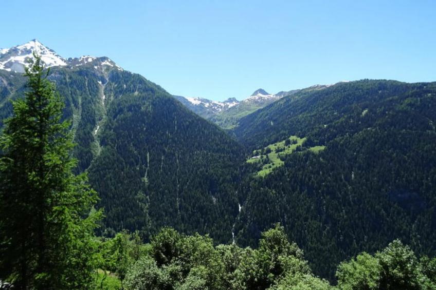 Résidence Rey - Plan Peisey - foto 8