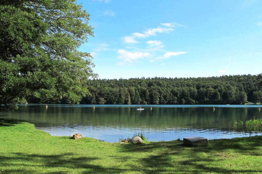 direkt am Werbellinsee - foto 14