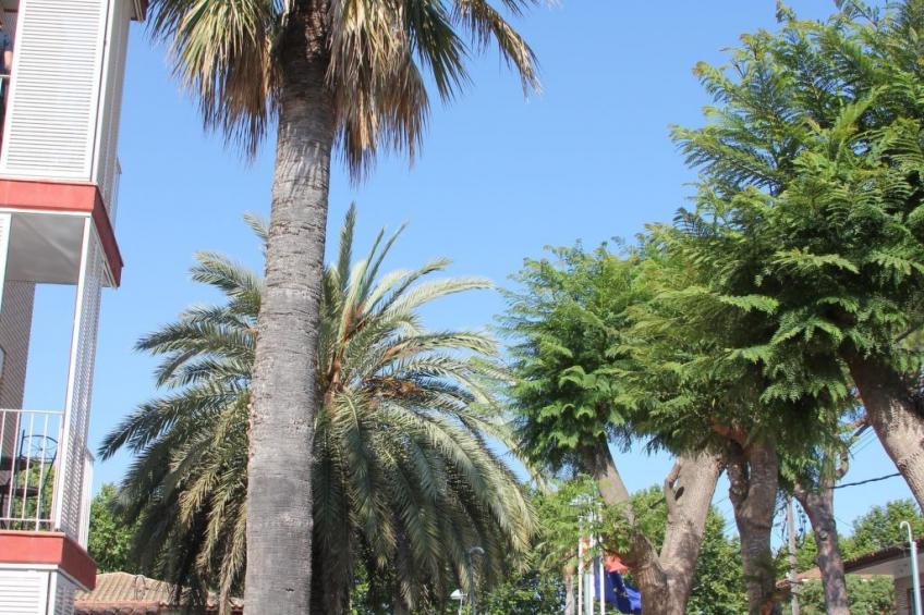 "Caru" mit Terrasse - foto 22